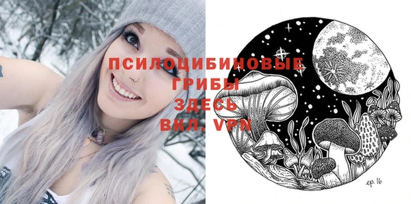 бошки Абдулино